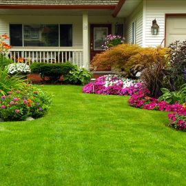 Landscape Bubble Top